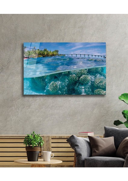 Cam Tablo Sualtı , Marine Life fiyatları