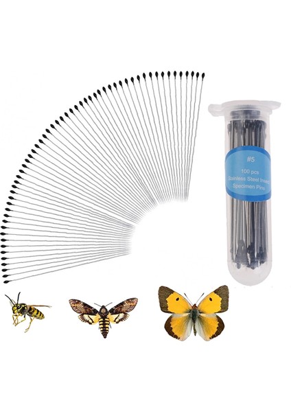 Boyut 1 Stili Böcek Paslanmaz Çelik Numune Entomoloji Ollections Okul Laboratuvarı Için Iğne Entomoloji Vücut Diseksiyonu Böcek (Yurt Dışından)