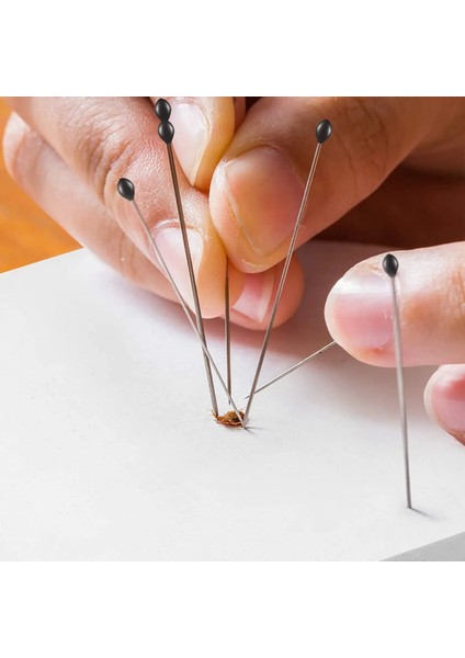 Boyut 1 Stili Böcek Paslanmaz Çelik Numune Entomoloji Ollections Okul Laboratuvarı Için Iğne Entomoloji Vücut Diseksiyonu Böcek (Yurt Dışından)