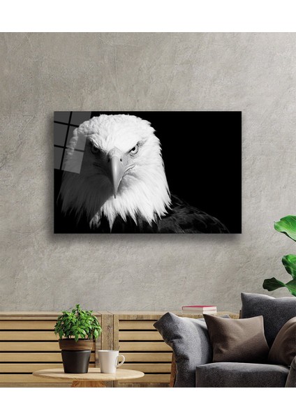 Kartal Hayvan Cam Tablo fiyatları