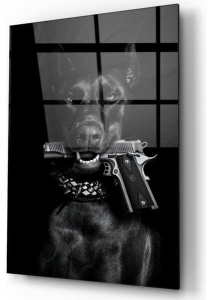 Köpek Cam Tablo fiyatları