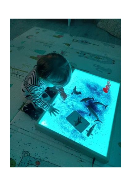 Bilmiş Çocuk Montessori Işıklı Etkinlik ve Oyun Masası  (Ayaksız) +1 Yaş 16 Renk  Ahşap  Light Table  (Tabla)