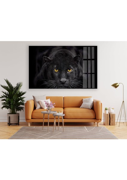 Siyah Panter Temperli Cam Duvar Tablosu modelleri
