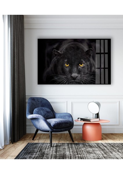 Siyah Panter Temperli Cam Duvar Tablosu indirimleri