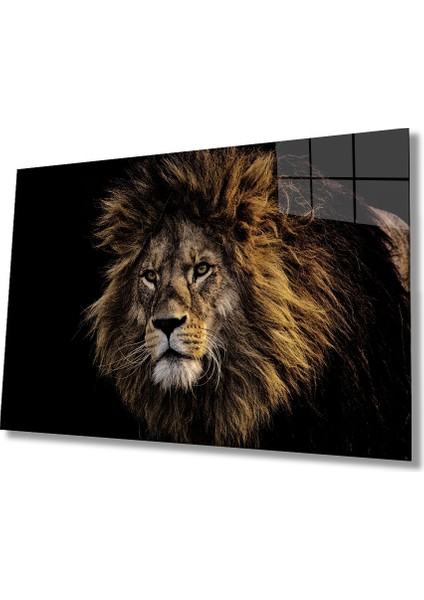Aslan Hayvan Cam Tablo