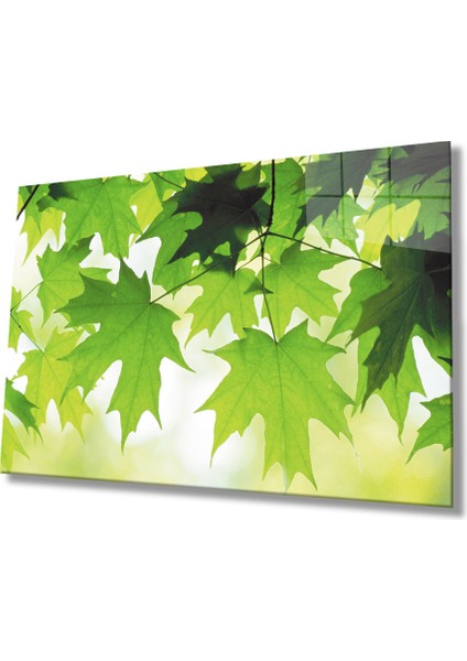 Yeşil Yapraklar Cam Tablo Green Leaves