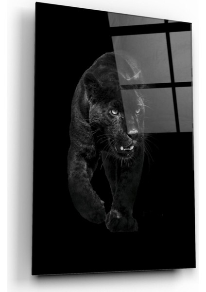 Jaguar Cam Tablo