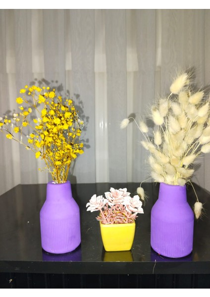 Daisy Style Pampas Vazosu, Iskandinav Dekoratif Beton Vazo Biblo 10CM Çok Şık 2'li Gönderim