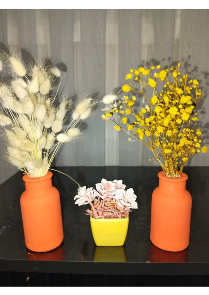 Daisy Style Pampas Vazosu, Iskandinav Dekoratif Beton Vazo Biblo 10CM Çok Şık 2'li Gönderim