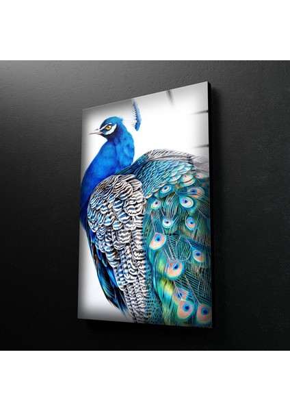 Tavus Kuşu Temperli Cam Duvar Tablosu