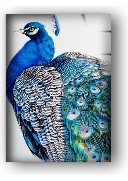 Tavus Kuşu Temperli Cam Duvar Tablosu fiyatları