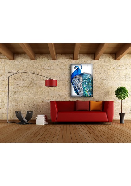 Tavus Kuşu Temperli Cam Duvar Tablosu modelleri