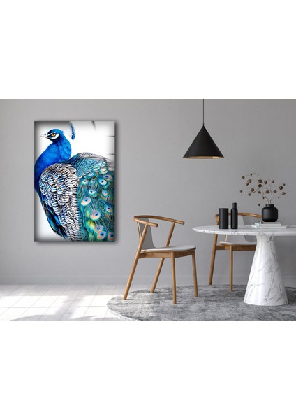 Tavus Kuşu Temperli Cam Duvar Tablosu fırsatları