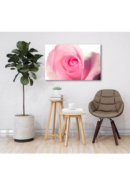 Pembe Güller Cam Tablo fiyatları