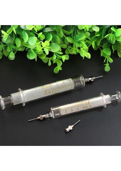12PCS Demir Iğne Stili Cam Şırınga Cep Telefonu Tamir Özel Kaynak Yağı Kaynak Konteyner Şırınga Metal Iğne 5ml 10ML Şırınga (Yurt Dışından)