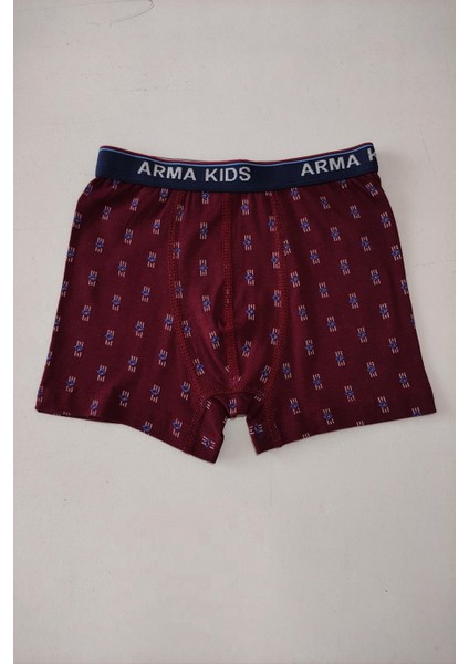 Renkli Erkek Çocuk Desenli Boxer 3'lü Paket Pamuklu Likralı fırsatları