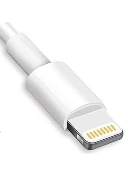 Type-C 6 Amper Hızlı Şarj ve Data Kablosu 1 Metre Apple, Iphone Uyumlu