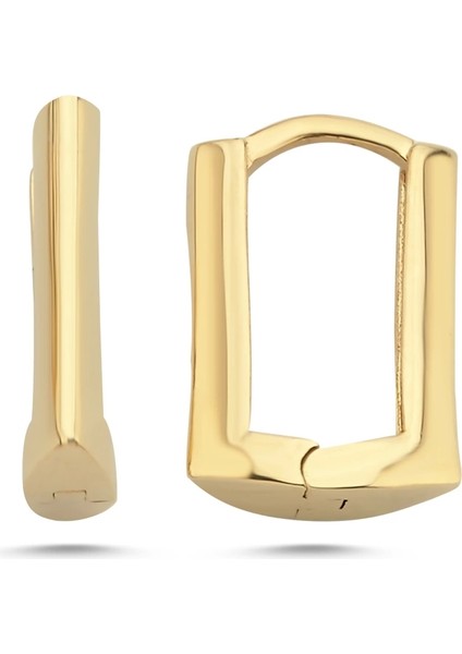 1.85 gr 14 K Jwd Altın Fantezi Küpe