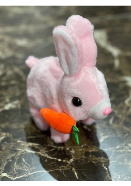 Newayer Elektronik Pilli Sesli Zıplayan Hareketli Tavuçlu Pembe Peluş Tavşan 18X17 cm