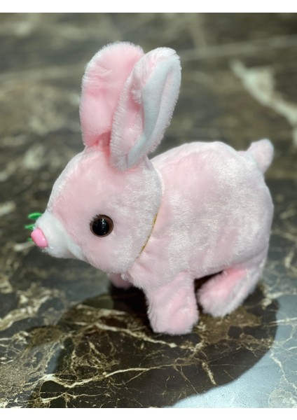 Newayer Elektronik Pilli Sesli Zıplayan Hareketli Tavuçlu Pembe Peluş Tavşan 18X17 cm modelleri