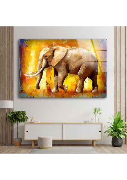 Grafiti Fil Temperli Cam Duvar Tablosu