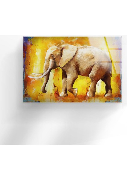 Grafiti Fil Temperli Cam Duvar Tablosu fırsatları