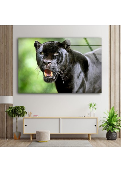Siyah Panter Cam Duvar Tablosu