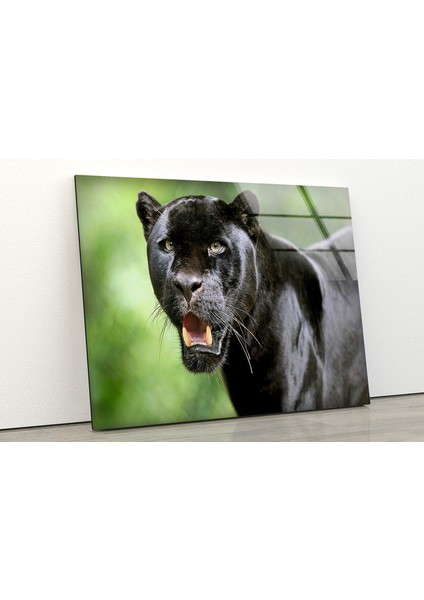 Siyah Panter Cam Duvar Tablosu fiyatları