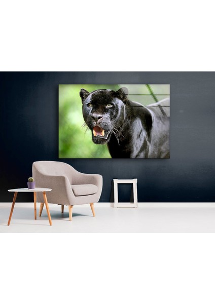 Siyah Panter Cam Duvar Tablosu modelleri