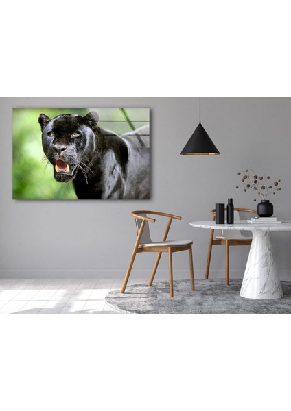 Siyah Panter Cam Duvar Tablosu fırsatları
