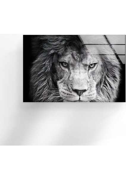 Gri Aslan Temperli Cam Duvar Tablosu