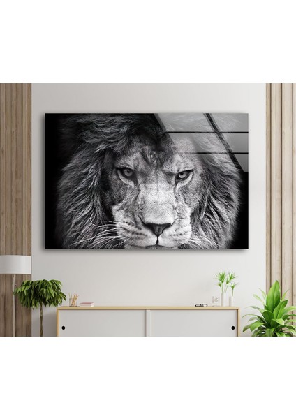 Gri Aslan Temperli Cam Duvar Tablosu fiyatları