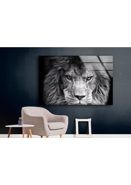 Gri Aslan Temperli Cam Duvar Tablosu modelleri