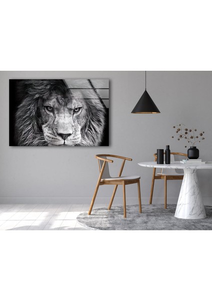 Gri Aslan Temperli Cam Duvar Tablosu fırsatları