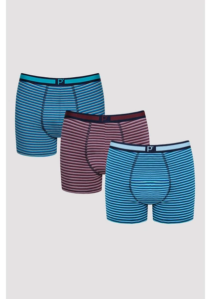 Stripes 3lü Çok Renkli Boxer