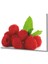 Kırmızı Meyve Cam Tablo Red Fruit 1