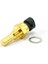 Lacetti J200 (1.4 16V) Motor Sıcaklık Sensörü Delphi Marka TS10254 1