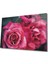 Rose Cam Tablo 1