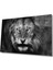 Aslan Cam Tablo 1