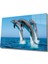 Yunus Balıkları Cam Tablo Dolphins 1