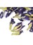 100GPACK Clitoria Ternatea Tea.blue Butterfly Bezelye Çayı.kurutulmuş Clitoria Kordofan Bezelye Çiçeği.thailand.toy (Yurt Dışından) 3