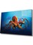 Sualtı Cam Tablo Marine Life 1