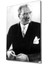 Atatürk Cam Tablo 1