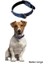 ® Yumuşak Dokulu Deri Köpek Gezdirme Boyun Tasması (Large) 4