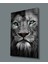 Aslan Cam Tablo 1
