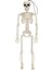 40 cm Pozlanabilir Tam Insan Iskeleti Prop Cadılar Bayramı Partisi Dekorasyon Perili Ev Sahne Mezarlık Dekor 1 Adet A (Yurt Dışından) 1