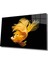Sarı Balık Cam Tablo Yellow Fish 1