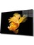 Sarı Balık Cam Tablo Yellow Fish 1