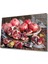 Nar Cam Tablo Pomegranate Art 1