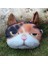 11 Dolgu Stili Olmadan Yaratıcı 3D Baskılı Kedi Köpek Evcil Yüz Araba Kafalık Araba Boyun Desteği Malzemeleri Doldurmadan Boyun Güvenlik Yastık Kılıfı (Yurt Dışından) 1